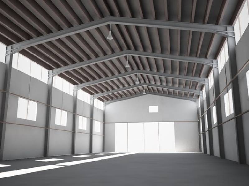 شينكو مميزة 1 1