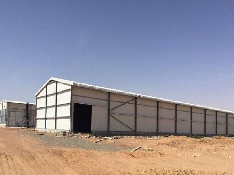 شينكو وملحق 1